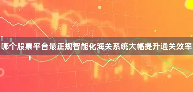 哪个股票平台最正规智能化海关系统大幅提升通关效率