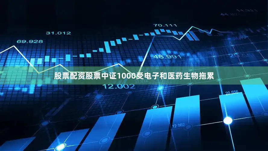股票配资股票中证1000受电子和医药生物拖累