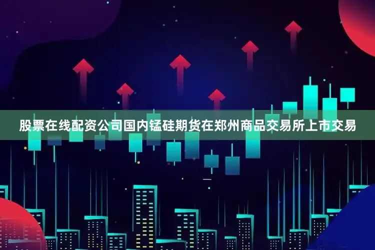股票在线配资公司国内锰硅期货在郑州商品交易所上市交易