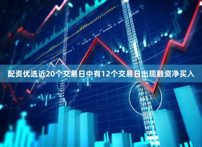 配资优选近20个交易日中有12个交易日出现融资净买入