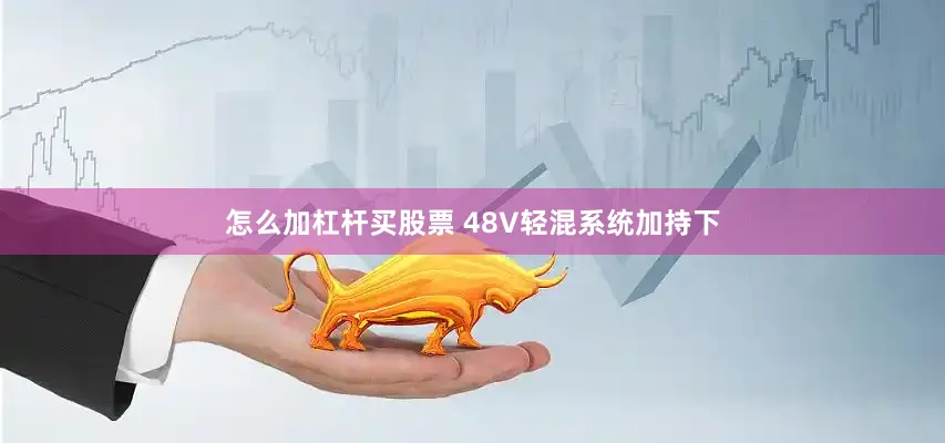 怎么加杠杆买股票 48V轻混系统加持下