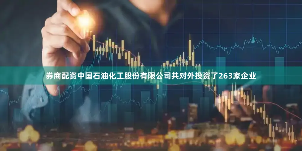 券商配资中国石油化工股份有限公司共对外投资了263家企业